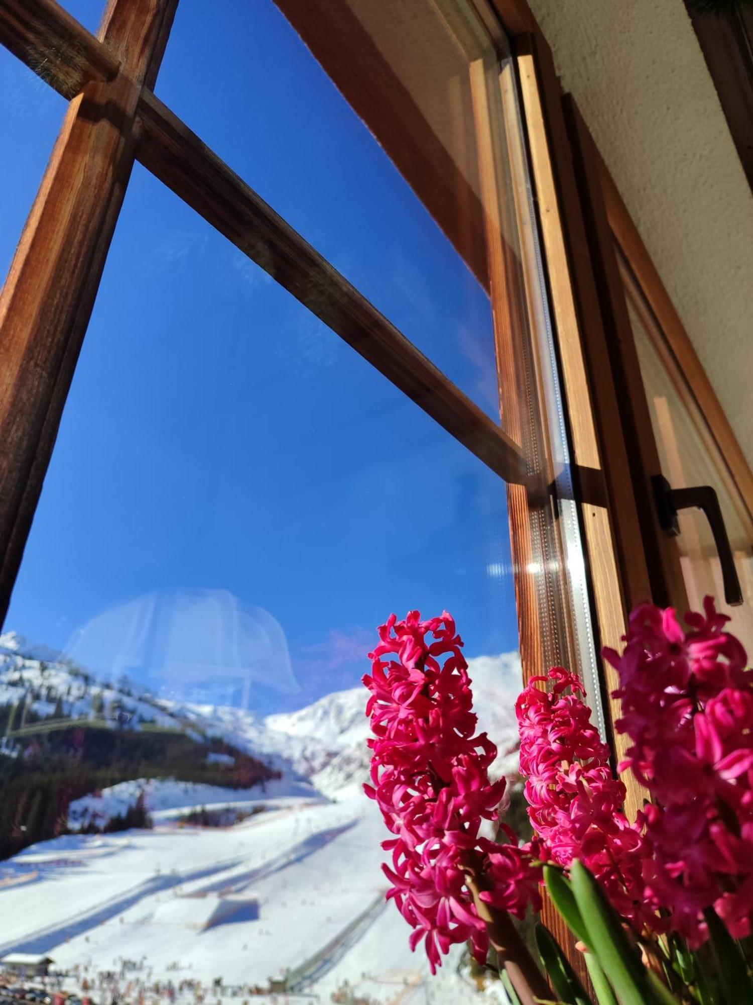 Hotel Almhof Hochfugen Exteriér fotografie